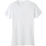 ＧＵＮＺＥ　ＹＧ半袖丸首