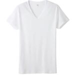 ＧＵＮＺＥ　ＹＧ半袖Ｖ首