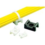 ＰＡＮＤＵＩＴ　タイマウント　ナチュラル　（１００個入）