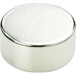 ＴＲＵＳＣＯ　まとめ買い　ネオジム磁石　丸形　外径１２ｍｍＸ厚み１．３ｍｍ　５個入