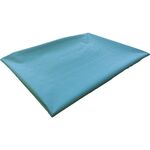 ＴＲＵＳＣＯ　ターポリンシート　ライトグリーン３６００Ｘ５４００　０．３５厚