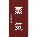 ＴＲＵＳＣＯ　配管用ステッカー　蒸気　縦　中　５枚入