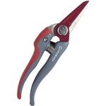 チカマサ　ウルトラロッソＧ