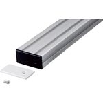 ＴＲＵＳＣＯ　ＴＳＦ２０用フレームキャップロックタイプ２０４０・キット　ＬＧ