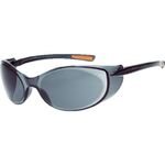 ＴＲＵＳＣＯ　二眼型セーフティグラス　ゴーグルタイプ　レンズグレー