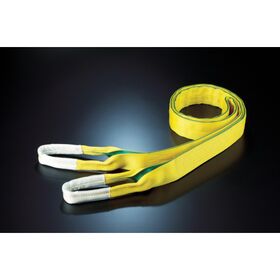 田村　ベルトスリング　Ｚタイプ　４Ｅ　１００×３．０