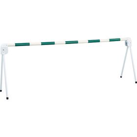 ＴＲＵＳＣＯ　プラバー（グリーン／ホワイト）２．０Ｍ