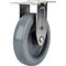 ＳＡＭＳＯＮＧ　ステンレスキャスター　固定　ウレタン　１００ｍｍ